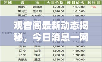 观音阁最新动态揭秘，今日消息一网打尽！