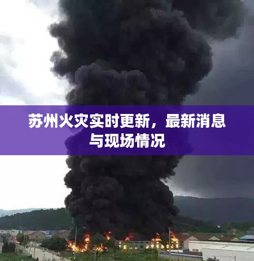 飞扬拨扈 第2页