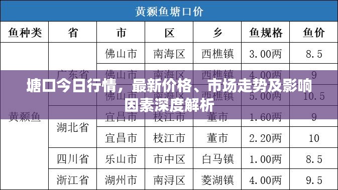塘口今日行情，最新价格、市场走势及影响因素深度解析