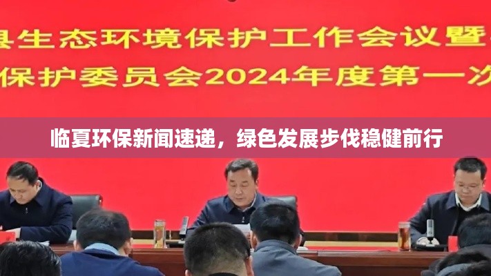 临夏环保新闻速递，绿色发展步伐稳健前行