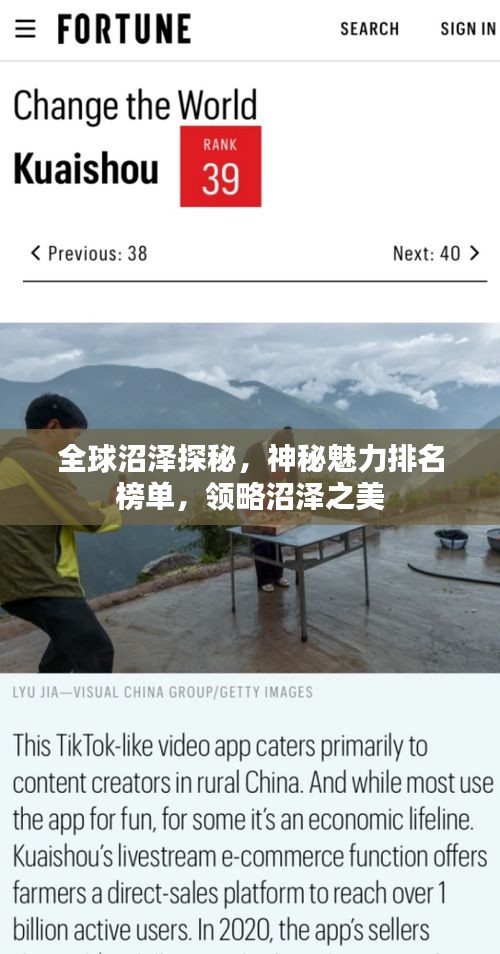 全球沼泽探秘，神秘魅力排名榜单，领略沼泽之美