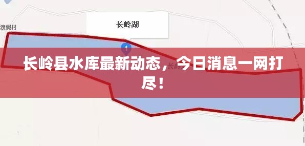 长岭县水库最新动态，今日消息一网打尽！