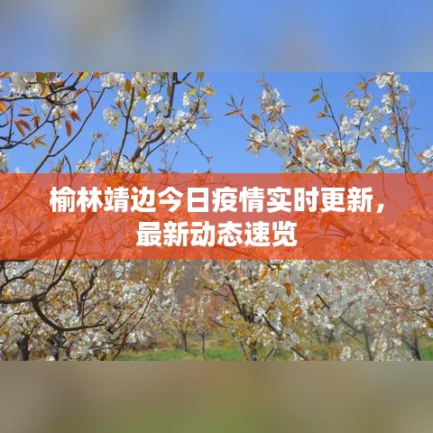 榆林靖边今日疫情实时更新，最新动态速览
