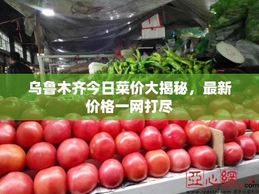 乌鲁木齐今日菜价大揭秘，最新价格一网打尽