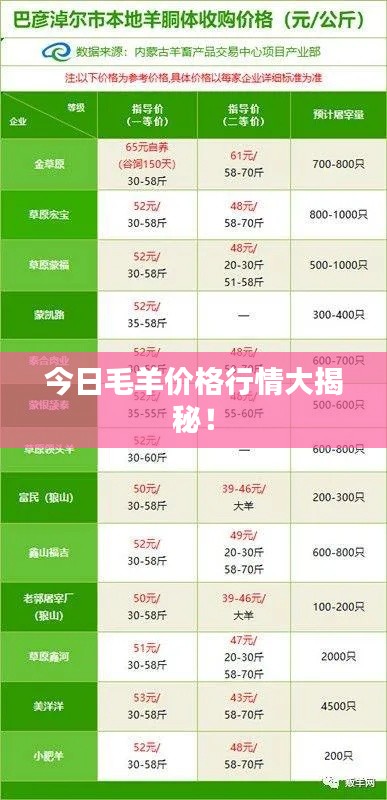 今日毛羊价格行情大揭秘！