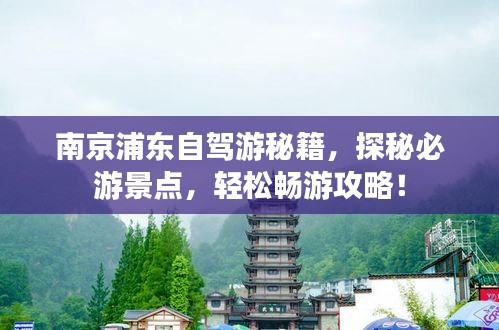南京浦东自驾游秘籍，探秘必游景点，轻松畅游攻略！