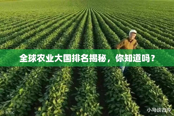 全球农业大国排名揭秘，你知道吗？