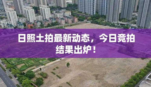日照土拍最新动态，今日竞拍结果出炉！