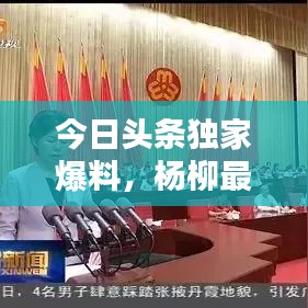 今日头条独家爆料，杨柳最新动态揭秘