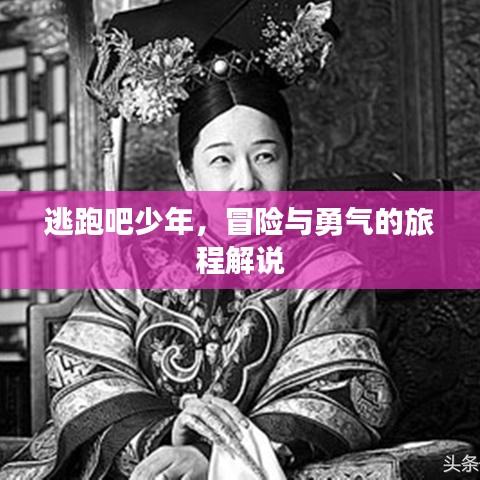 逃跑吧少年，冒险与勇气的旅程解说