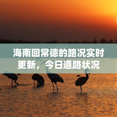 海南回常德的路况实时更新，今日道路状况及堵车情况最新解读