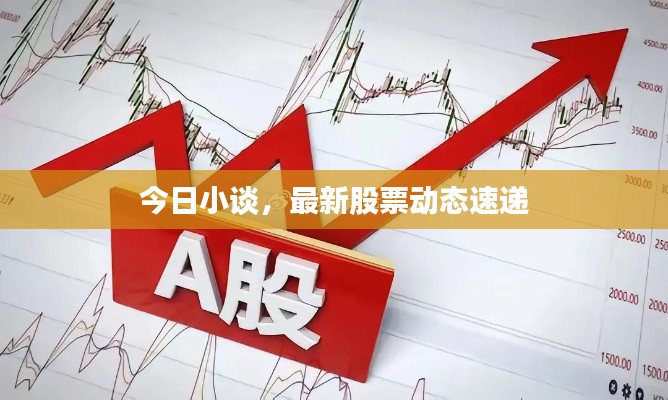 今日小谈，最新股票动态速递