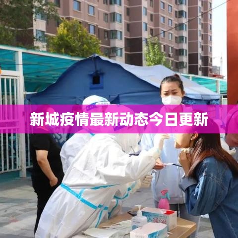 新城疫情最新动态今日更新