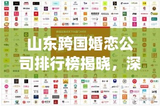 山东跨国婚恋公司排行榜揭晓，深度市场分析助力你洞悉行业趋势