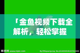 「金鱼视频下载全解析，轻松掌握下载技巧」