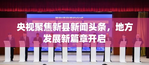 杳无音信 第2页