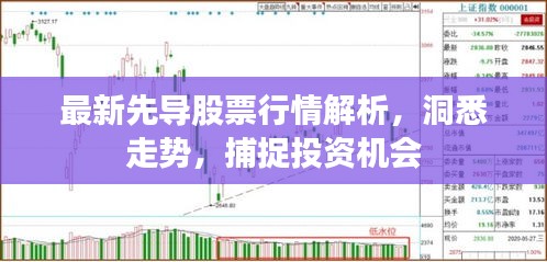 最新先导股票行情解析，洞悉走势，捕捉投资机会