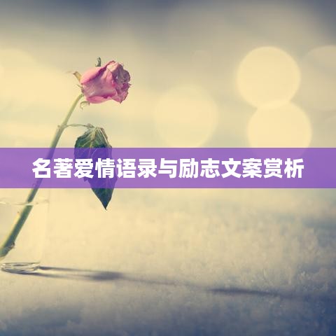 名著爱情语录与励志文案赏析