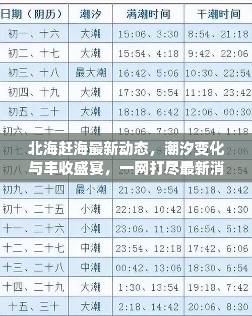 北海赶海最新动态，潮汐变化与丰收盛宴，一网打尽最新消息！