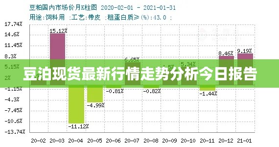 豆泊现货最新行情走势分析今日报告