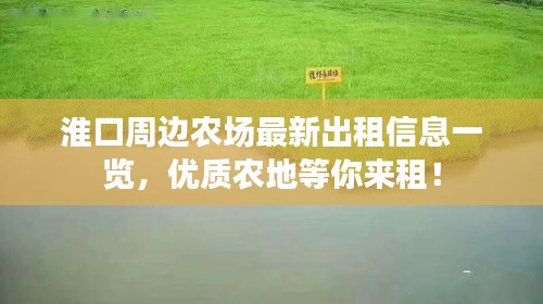 淮口周边农场最新出租信息一览，优质农地等你来租！