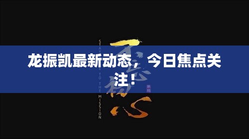 龙振凯最新动态，今日焦点关注！