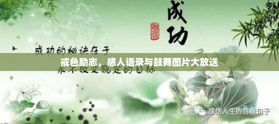 戒色励志，感人语录与鼓舞图片大放送