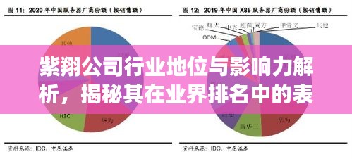 紫翔公司行业地位与影响力解析，揭秘其在业界排名中的表现！