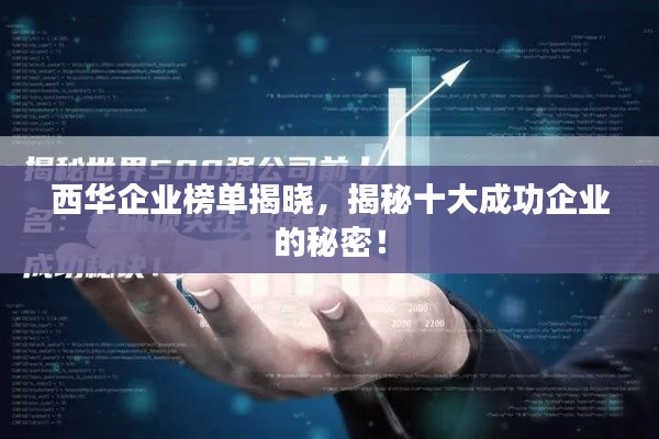 西华企业榜单揭晓，揭秘十大成功企业的秘密！