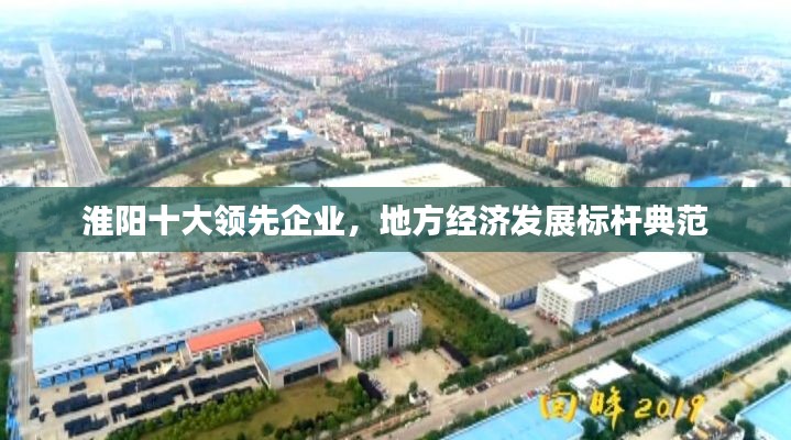 淮阳十大领先企业，地方经济发展标杆典范