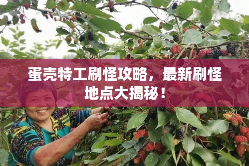 蛋壳特工刷怪攻略，最新刷怪地点大揭秘！