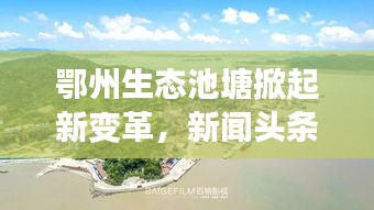 鄂州生态池塘掀起新变革，新闻头条聚焦池塘生态发展