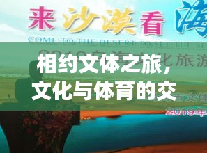 相约文体之旅，文化与体育的交融攻略探索