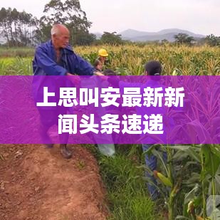 上思叫安最新新闻头条速递