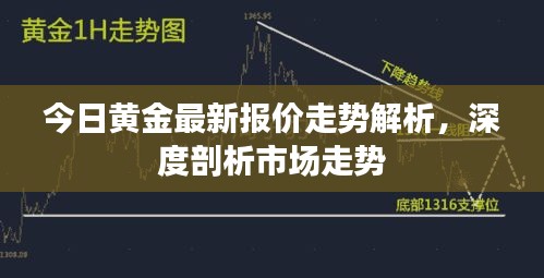 今日黄金最新报价走势解析，深度剖析市场走势