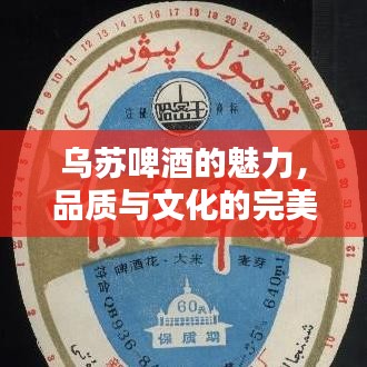 乌苏啤酒的魅力，品质与文化的完美结合，百度带你探索！