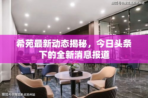希苑最新动态揭秘，今日头条下的全新消息报道
