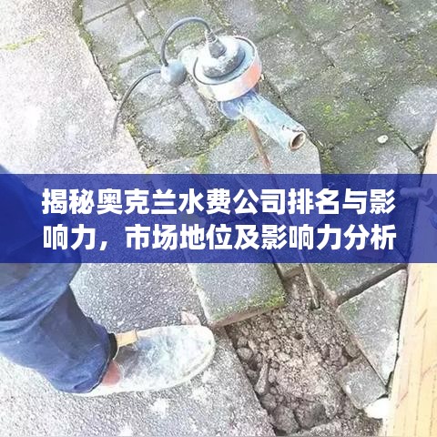 揭秘奥克兰水费公司排名与影响力，市场地位及影响力分析
