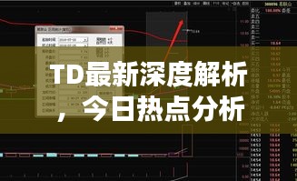 TD最新深度解析，今日热点分析