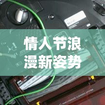 情人节浪漫新姿势解锁，最新梗视频在线观看，一网打尽浪漫秘籍！