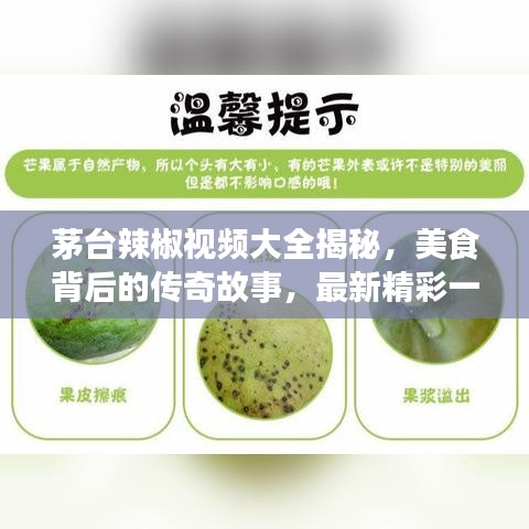 风华绝代 第2页