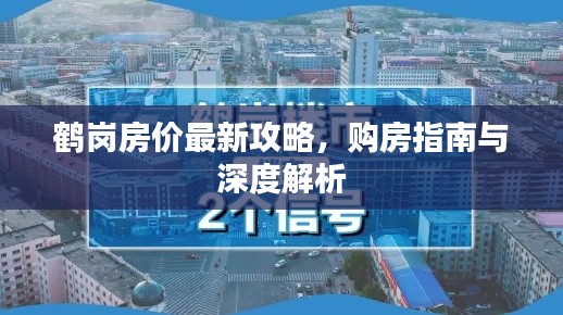 鹤岗房价最新攻略，购房指南与深度解析