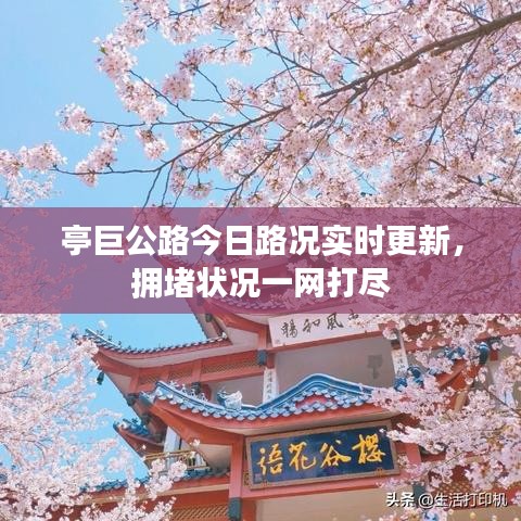 亭巨公路今日路况实时更新，拥堵状况一网打尽