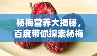 杨梅营养大揭秘，百度带你探索杨梅的丰富营养世界