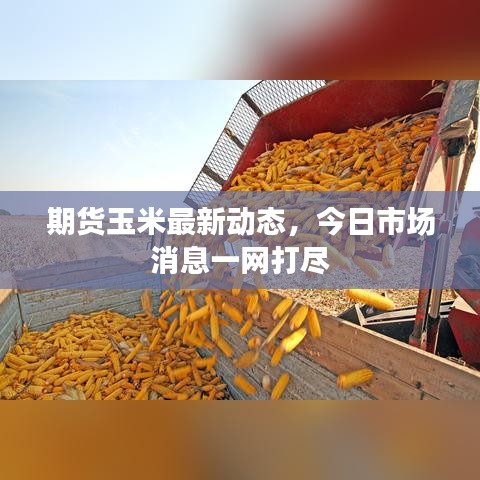 期货玉米最新动态，今日市场消息一网打尽