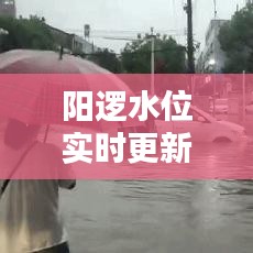 阳逻水位实时更新，最新动态一网打尽