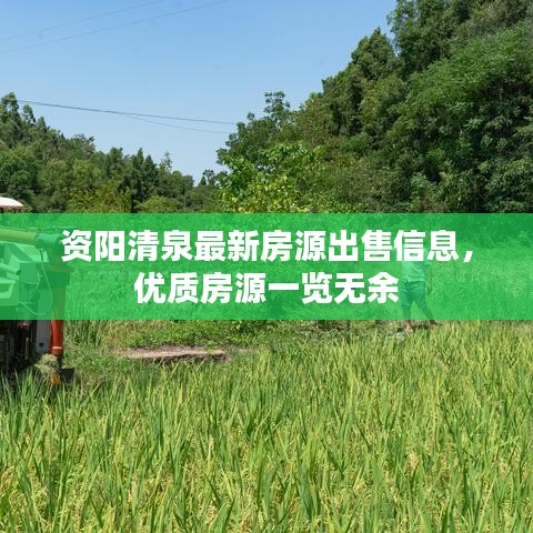 资阳清泉最新房源出售信息，优质房源一览无余