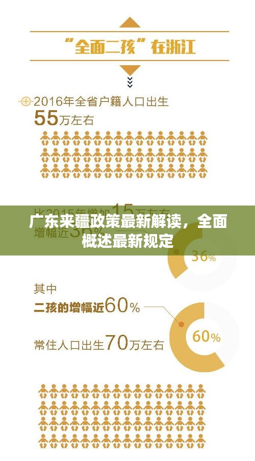 广东来疆政策最新解读，全面概述最新规定