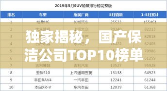 独家揭秘，国产保洁公司TOP10榜单，排名及实力一网打尽！