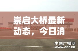 崇启大桥最新动态，今日消息一网打尽！